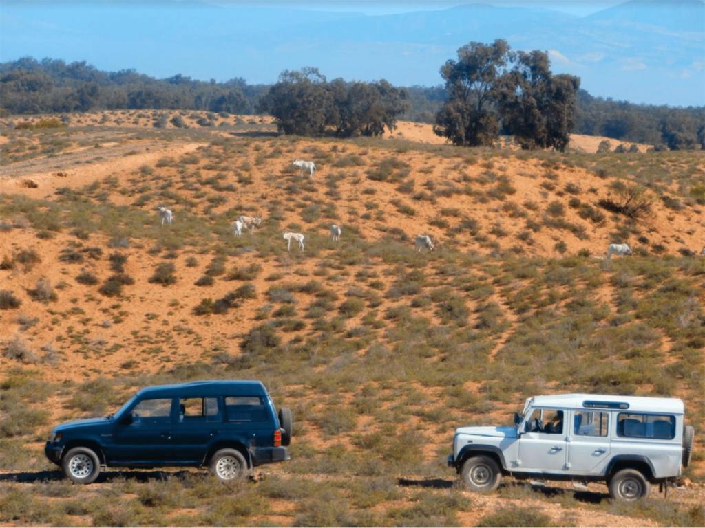 Camping Wassay Beach Sidi Ouassay ภายนอก รูปภาพ